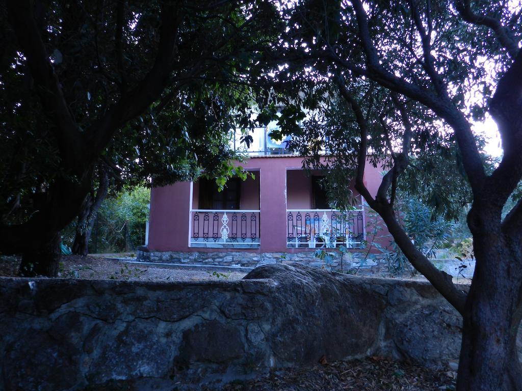 Kyra'S Paradise Potistika Camera foto